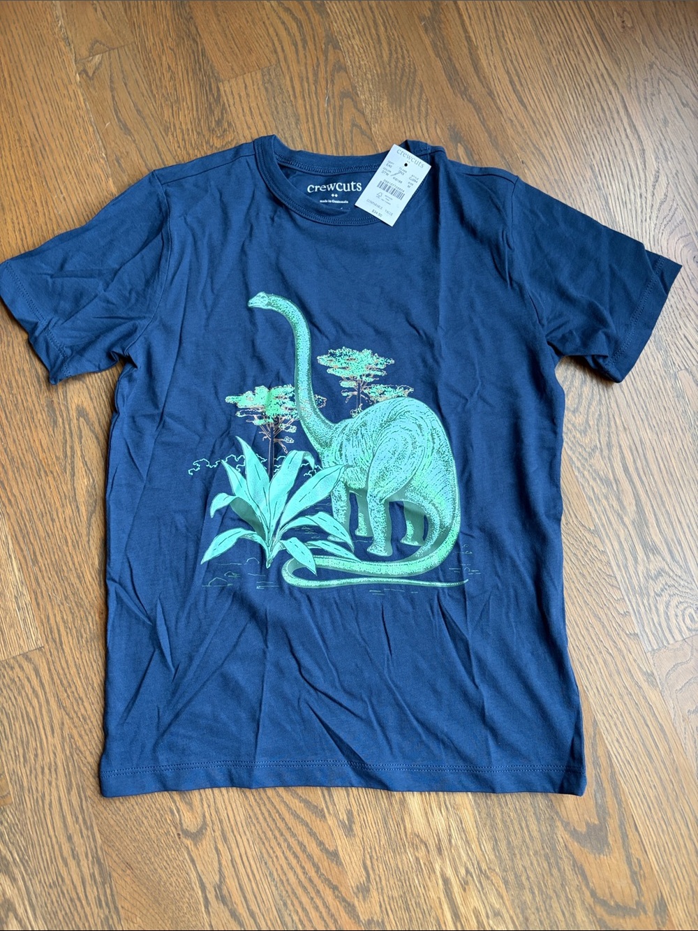 crewcuts Navy Tee with Mint Green Dinosaur Graphic size Medium 8-9